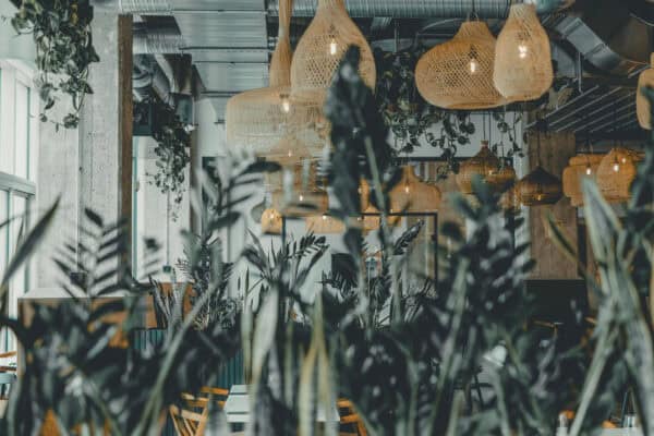 Plants and woven lamps in the Vitaminlager – warm interior detail with straw and greenery at John & Will Bremen