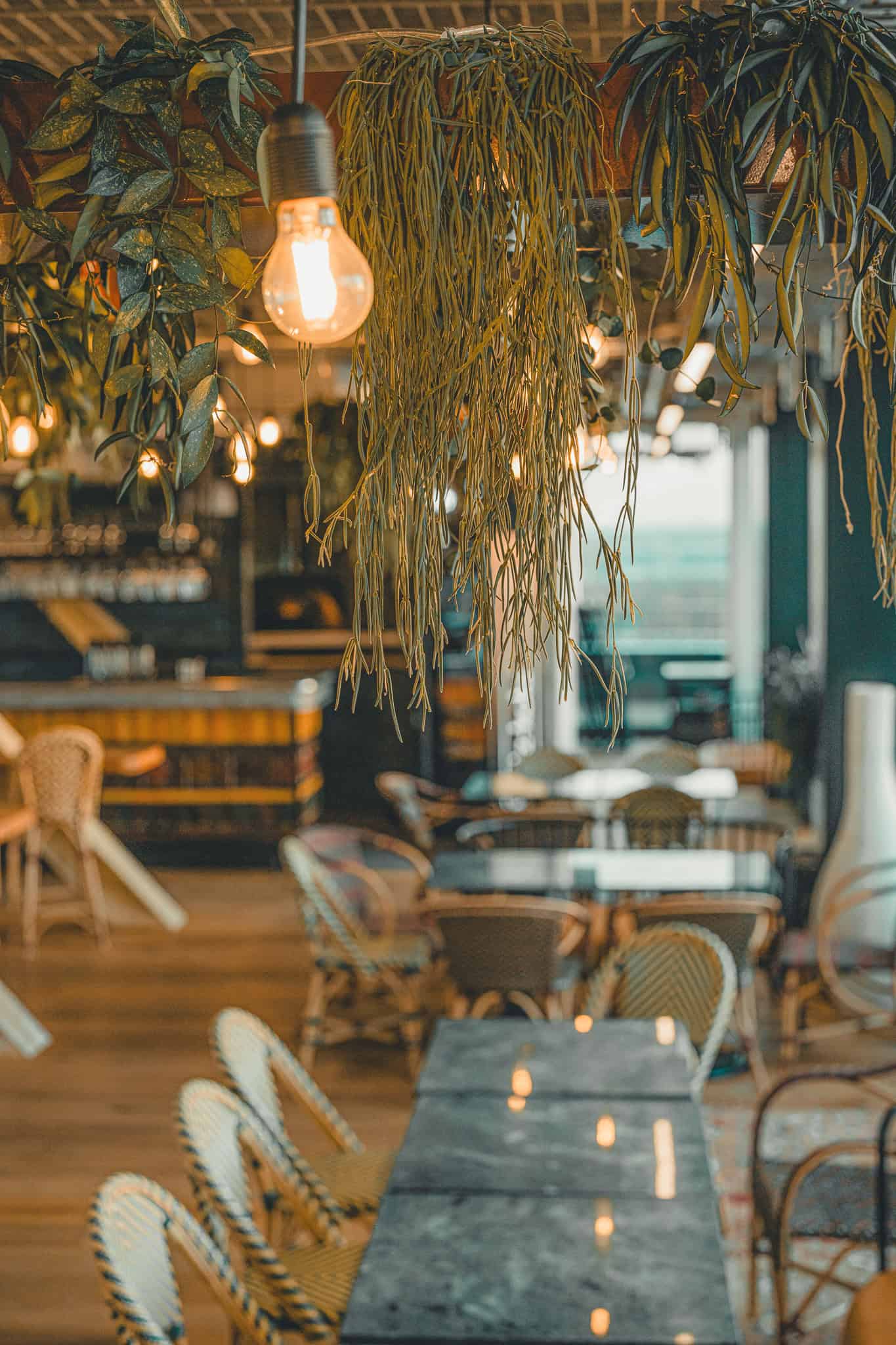 Detailaufnahme aus dem Rooftop-Dachstuuv, des John & Will Hotels Bremen – hängende Pflanzen und warme Glühbirnen im Vordergrund, im Hintergrund gemütliche Sitzbereiche mit Blick auf die Weser. Urban Jungle trifft auf nordisches Design mit Wohlfühlatmosphäre.